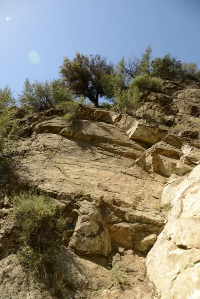 DSC_1640 (Large).JPG